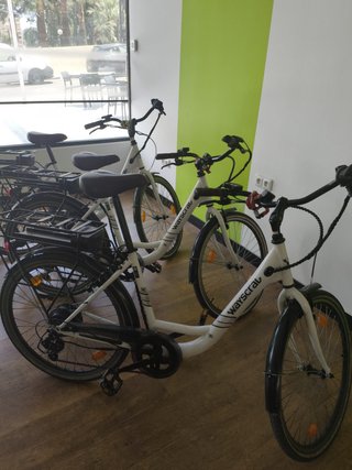 Bicicleta Waycscral Eléctrica