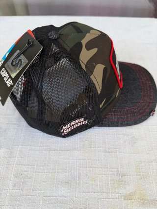 Gorra Camuflaje Merrie Melodies