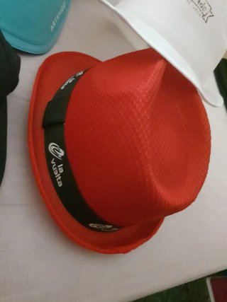 Lote de Sombreros y Gorras Variadas