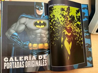 Batman Terror nº 11