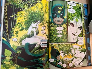 Batman Terror nº 11