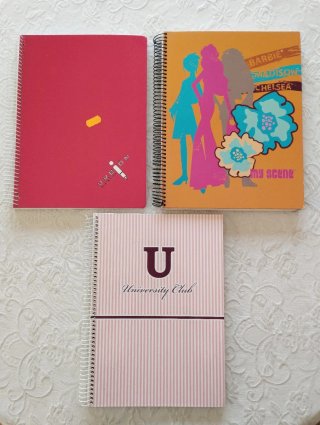 Papelería Escolar: Cuadernos, Repuestos y Fundas