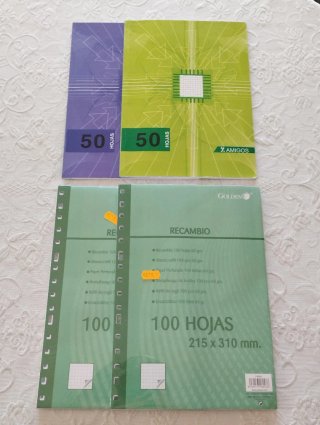 Papelería Escolar: Cuadernos, Repuestos y Fundas