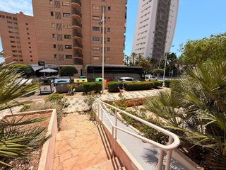 Local comercial en alquiler en Playa de Poniente en Benidorm