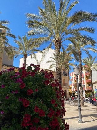 Terreno en alquiler en El Paraiso-Los Almendros en Eliana (l´)
