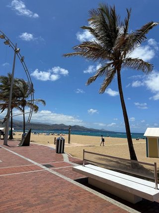 Piso en alquiler en Santa Catalina - Canteras en Palmas de Gran Canaria(Las)