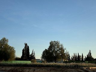 Terreno en venta en Librilla