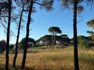 Terreno en venta en Gavà Mar en Gavà