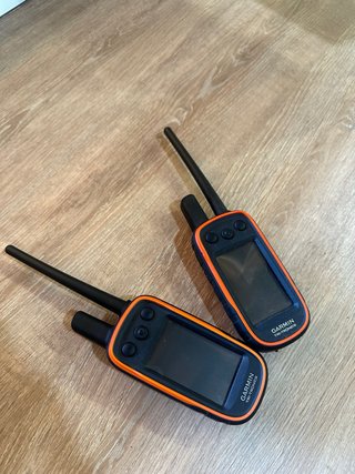 Garmin Alpha 100