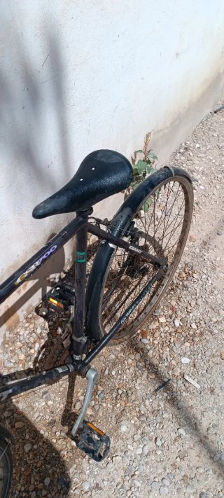 Bicicletta Giant Nera
