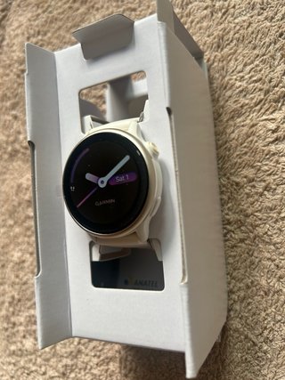 Garmin Vivoactive 6 Gold