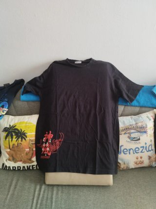 Camisetas Reebok Dragón y Pez Koi