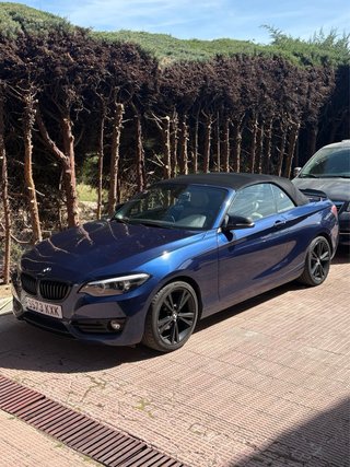 BMW Serie 2 2019