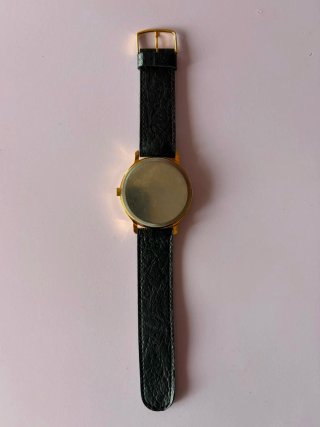 Orologio Dalas Testa di Indiano 17 Jewels