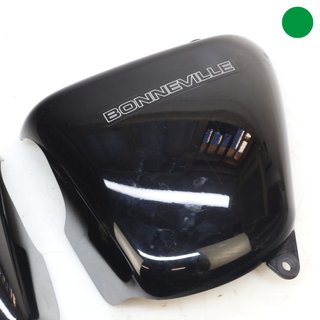 Fianchetti TRIUMPH Bonneville 2009-2013