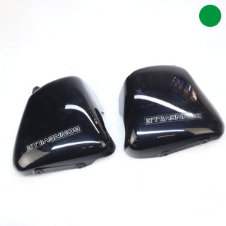 Fianchetti TRIUMPH Bonneville 2009-2013