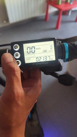 Patinete Eléctrico Smartgyro Speedway