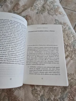 Buddhismo e meditazione