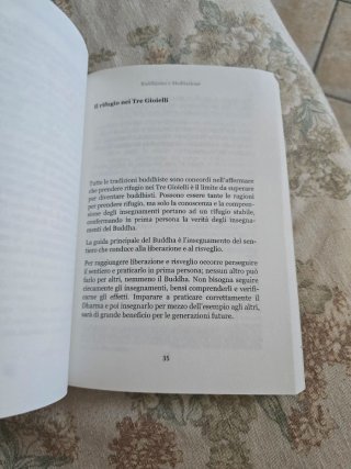 Buddhismo e meditazione