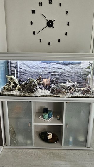 Acuario 240L con mueble
