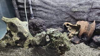 Acuario 240L con mueble
