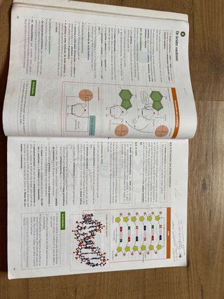 Bioloxía, Xeoloxía e Ciencias Ambientais 1.