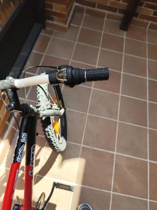 Bicicleta infantil 19 con cambios