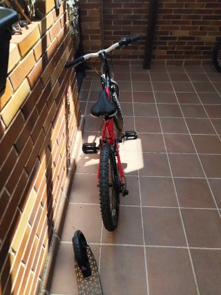 Bicicleta infantil 19 con cambios