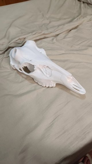 Impresiones 3D
