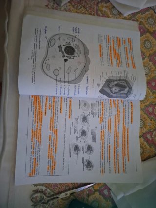 Libro Biología 2°Bachillerato. Guía didáctica