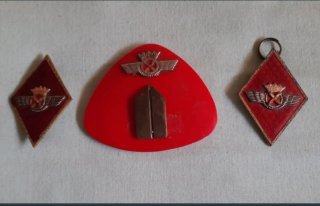 Insignia militar con alas y corona