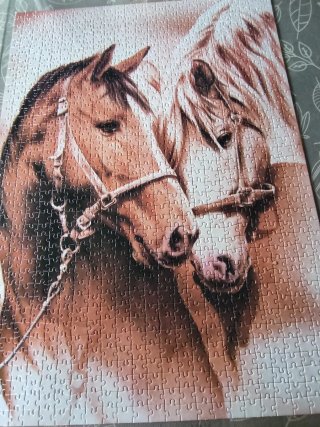 Puzzle Schmidt 1000 Piezas Caballos