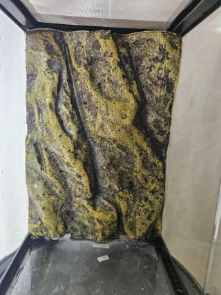 Terrario Exo Terra Nano 16L con Luz LED
