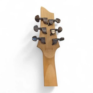 GUITARRA ELECTRICA SGR SCHECTER BANSHES-6 ROJA+FUNDA