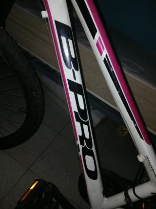 Bici B PRO