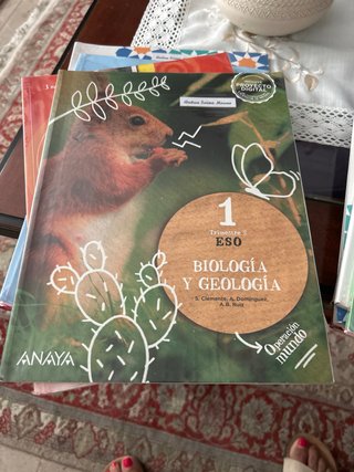 Libros 1 Eso Diego Porcelos