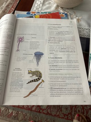 Libros 1 Eso Diego Porcelos