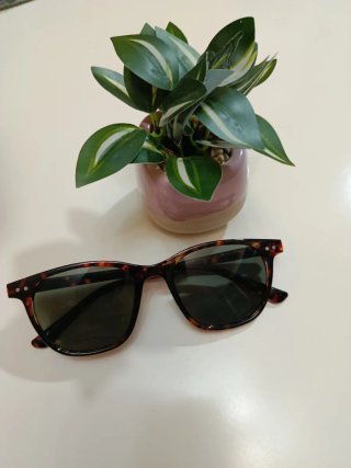 Occhiali da sole donna tartaruga e verde