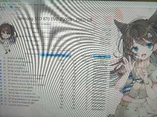 SSD Samsung 870 EVO 250GB