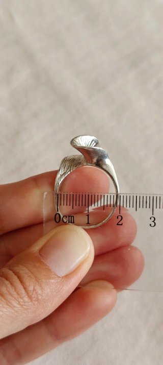 Anillos de diseño, plata