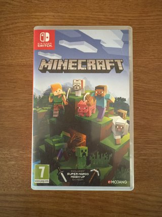 Minecraft Nintendo Switch