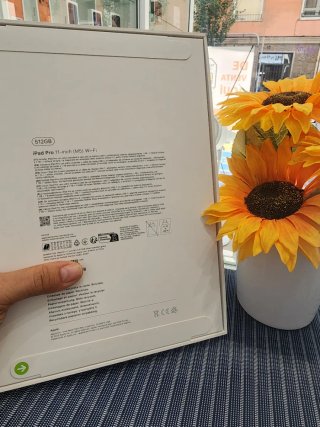 iPad Pro 11 M5 512GB Argento Wi-Fi