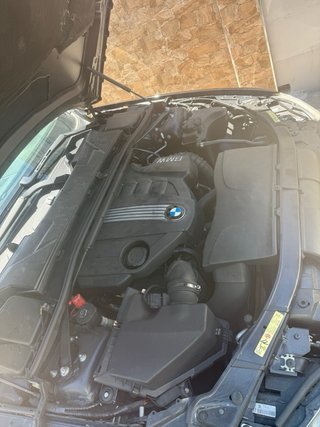 BMW Serie 3 2009