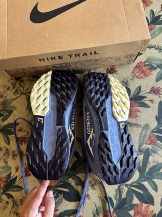 Zapatillas Nike Pegasus Trail 5 GTX Mujer