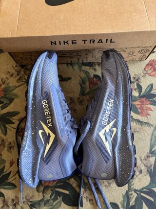 Zapatillas Nike Pegasus Trail 5 GTX Mujer