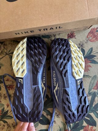 Zapatillas Nike Pegasus Trail 5 GTX Mujer