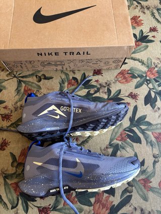 Zapatillas Nike Pegasus Trail 5 GTX Mujer