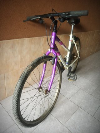 Bicicleta Scott Timber Vintage