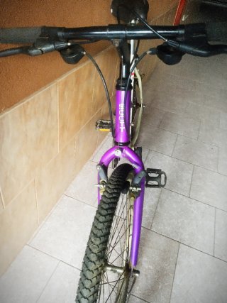 Bicicleta Scott Timber Vintage