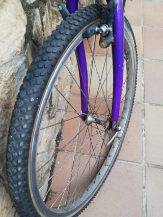 Bicicleta Scott Timber Vintage